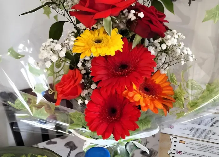 Aurora Ecorural Lantställe *