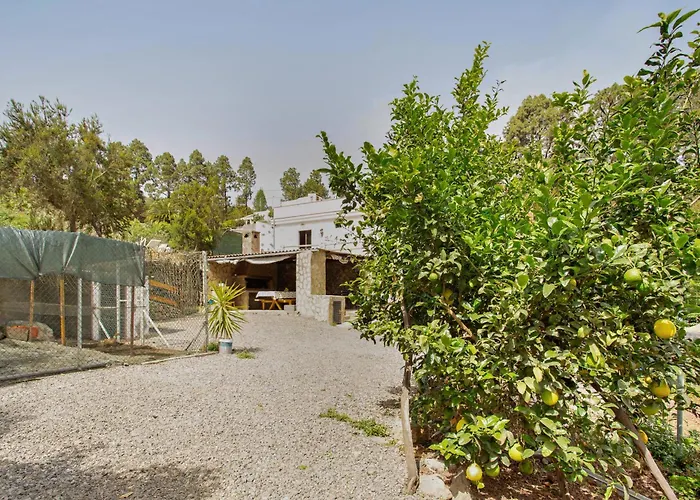 Aurora Ecorural Icod De Los Vinos