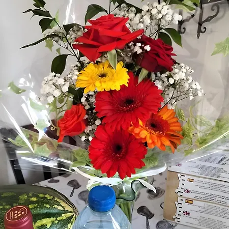 Aurora Ecorural Landhaus *