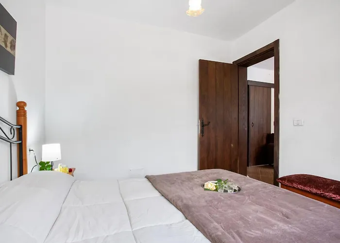 Kır Evi Aurora Ecorural