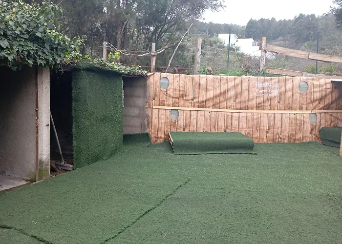 Aurora Ecorural Icod De Los Vinos